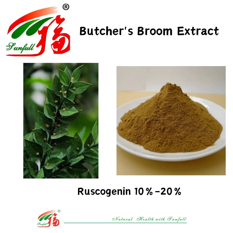 Yüksek Kalite Fabrika Fiyatı Ruscus Aculeatus Kök Ekstrakti 10% -20% Ruscogenin Kasap Kova Ekstrakti