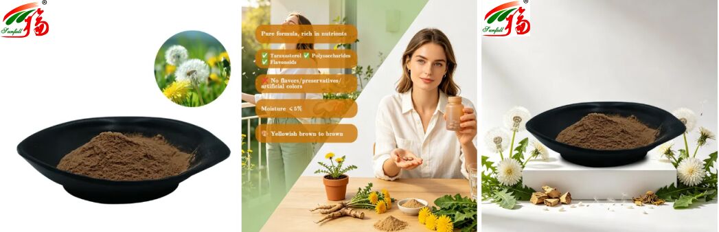 Gıda kalitesi Pırasa Bitki Pırasa Yaprakları Ekstrakt Tozu Doğal Flavonoidler 5% -10% Organik Pırasa Ekstraktı
