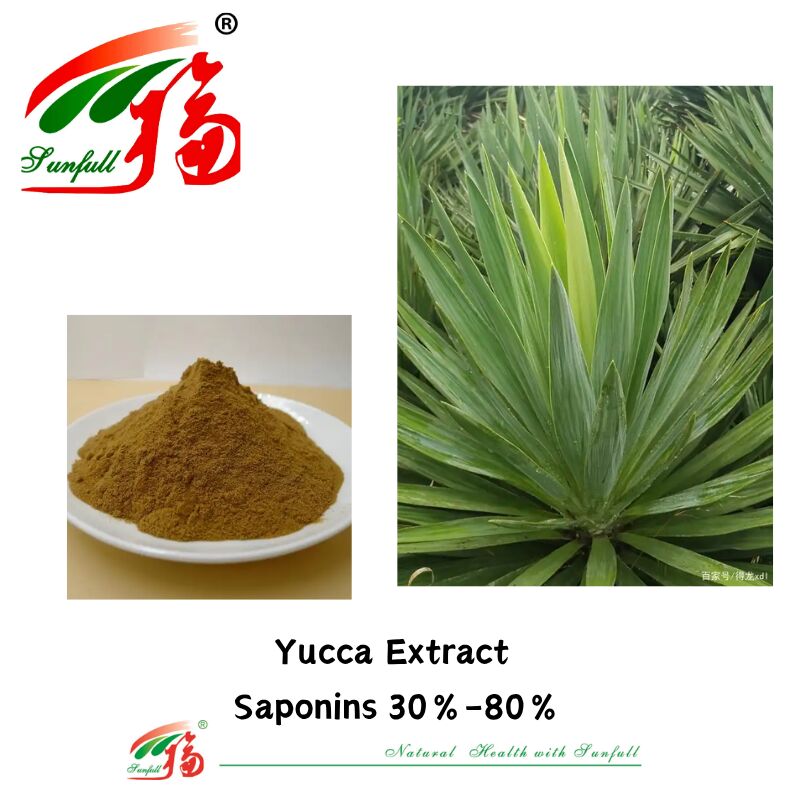 ISO/Kosher Deodorizer Bağırsak Sağlığını Artırır Evcil hayvanlar için gıda bileşeni %10-80% Saponins Yucca Ekstrakti