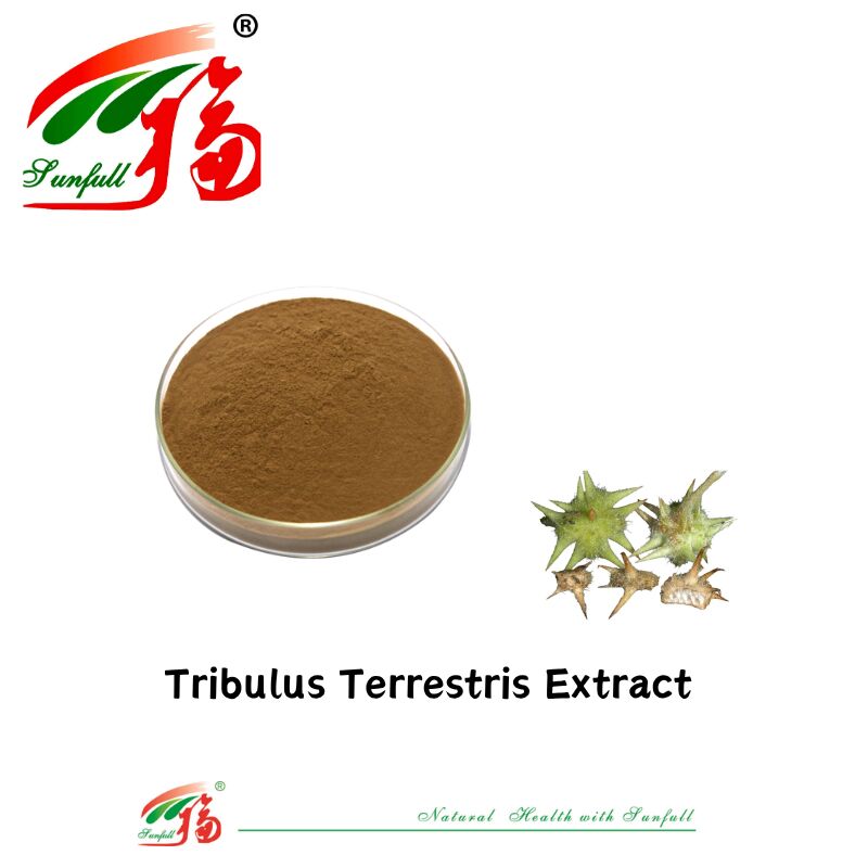 Çin Fabrikası Sıcak Satış Sağlık İnsan Gıda Derecesi Tribulus Ekstraktı Ücretsiz Örnek Tribulus Terrestris Ekstraktı Tozu 40%-90% Saponiler