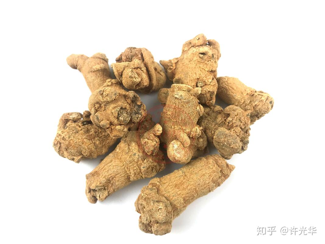 Fabrika Tedarikleri Hemostaz Diyet Takviyeleri 10% 40% 80% Notoginsenosidler Panax Notoginseng Kök Ekstrakti