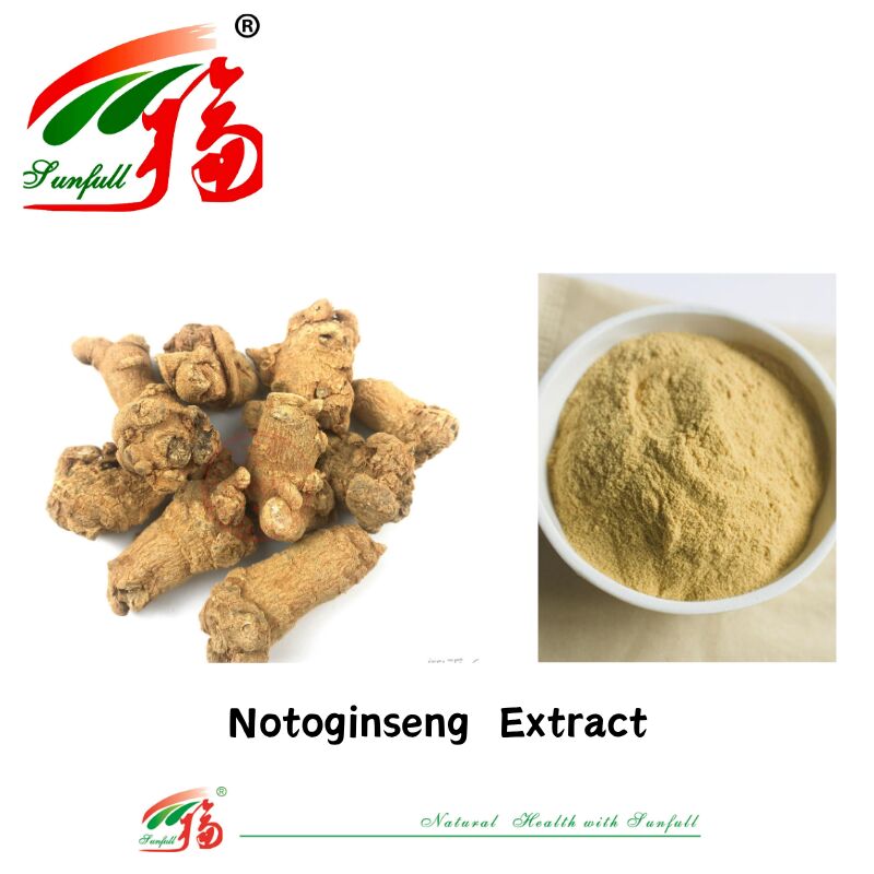 Fabrika Tedarikleri Hemostaz Diyet Takviyeleri 10% 40% 80% Notoginsenosidler Panax Notoginseng Kök Ekstrakti