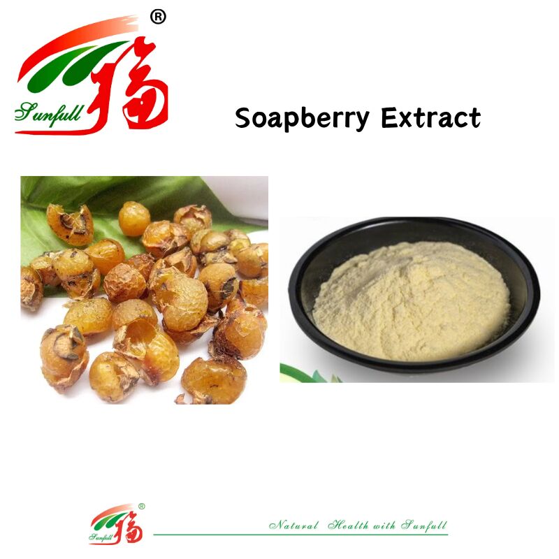 Sağlıklı Doğal Sabun Temizleme Deterjanı Cilt Bakımı ve Saç Bakımı 40%-70% Saponinler Sabunberry Özü