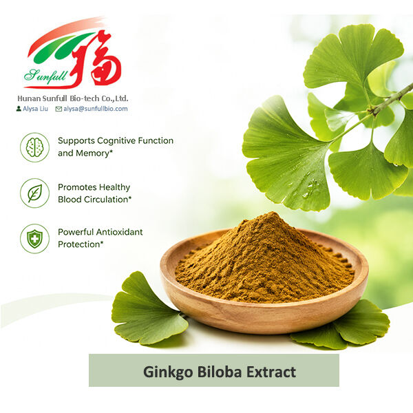 Doğal Ginkgo Biloba Ekstraksiyonu Cp/ USP/ Ep/ Suda çözünür