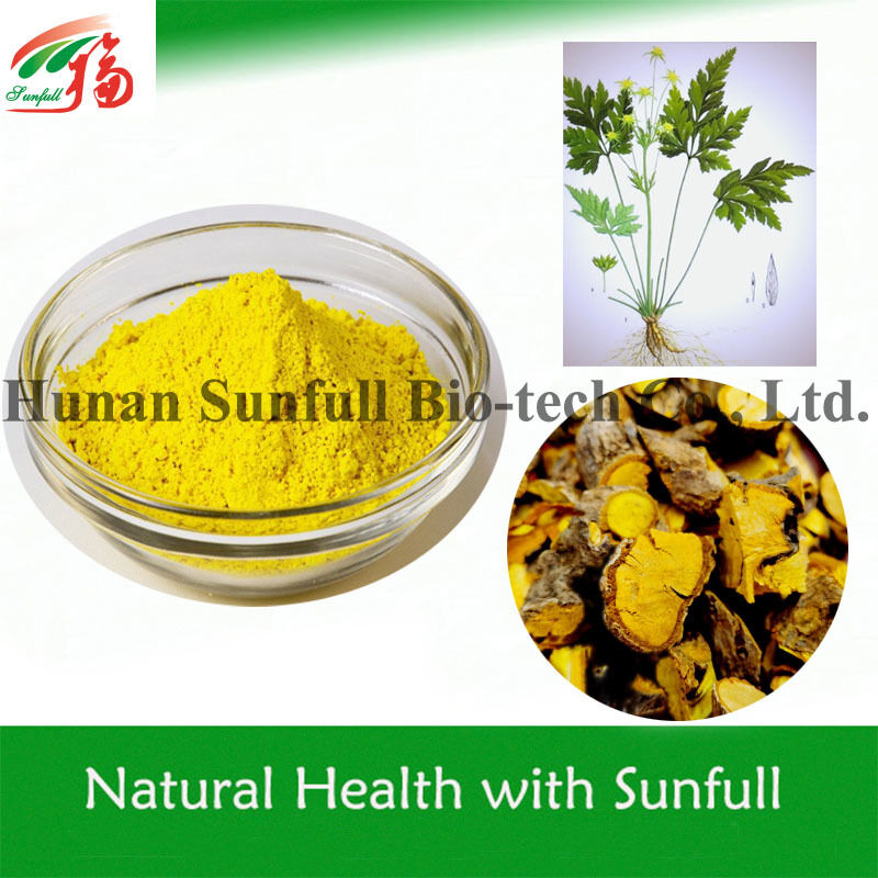 Coptis chinensis Kökünden %97 %98 Saf Doğal Berberin HCl, CAS No. 633-65-8