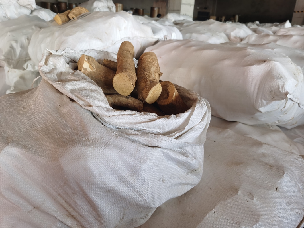 Anti Piretik Aktivite için %0.5 Eurycomanone Özü Eurycoma longifolia Kök Özü Tozu