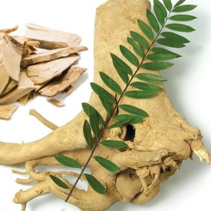 Yorgunluğun İyileştirilmesi İçin Anti Viral Eurycoma longifolia Takviyesi %2,5 Eurycomanone Eurycoma longifolia