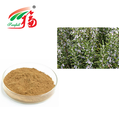 Yaşlanma Karşıtı Rosmarinus Officinalis İçin Biberiye Özü %30 Rosmarinik Asit