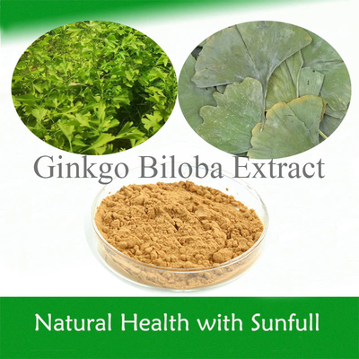 Ginkgo Biloba Yaprak Ekstrakti 24/6 CAS 90045-36-6 Cp USP561 Ep EC396