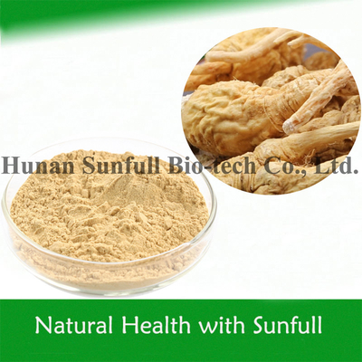 Maca Kök Ekstraktı 4: 1 Erkek Sağlığı Bakımı İçin Macamides & Macaenes