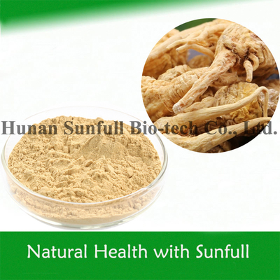 Erkek bitki sağlığı Gıda Beslenme için Maca Ekstraksiyonu (Lepidium meyenii Walp)