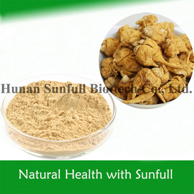 Rekabetçi Fiyat Maca Extract 0.6% Erkek Sağlığı İçin Macamides & Macaenes