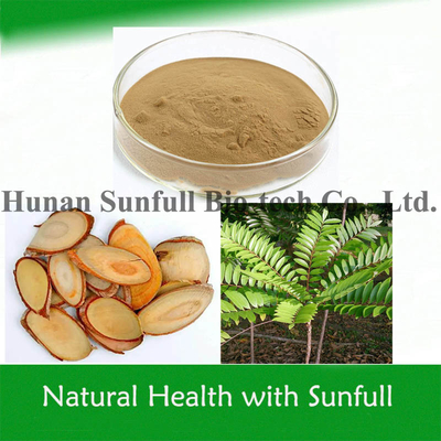 Tongkat Ali Extract Longjack Erkekler İçin % 1-10% Eurycomanone Sağlık