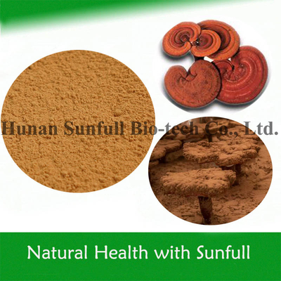 Yüksek Kaliteli Sağlık Gıdaları Ganoderma Lucidum Ekstraksi Reishi Tozu