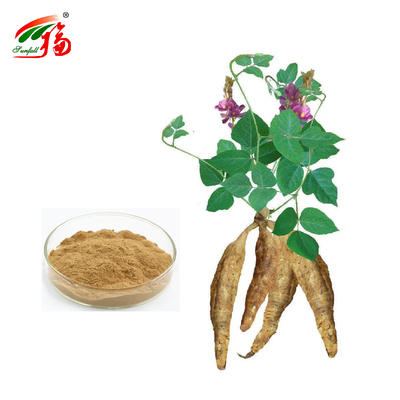 Çin Fabrikası Doğal Kudzu Kök Ekstraktı Puerarin % 25 % 60 % 98