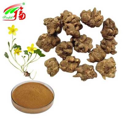 Cat's Claw Extract Enhancing Immunity Anti-Tumor 100% Natural Herb Plant Extract 3%-5% Alkaloids Pharmaceutical Food Grade Health Food Ranunculus Ternatus