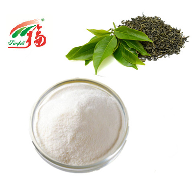 KOSHER Yeşil Çay Özü Tozu Kozmetik İçin% 98 EGCG Epigallocatechin Gallate